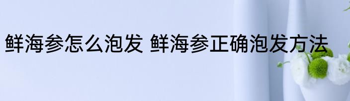 鲜海参怎么泡发 鲜海参正确泡发方法