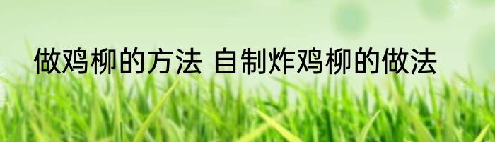 做鸡柳的方法 自制炸鸡柳的做法