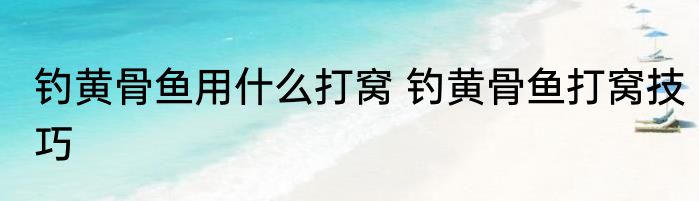 钓黄骨鱼用什么打窝 钓黄骨鱼打窝技巧