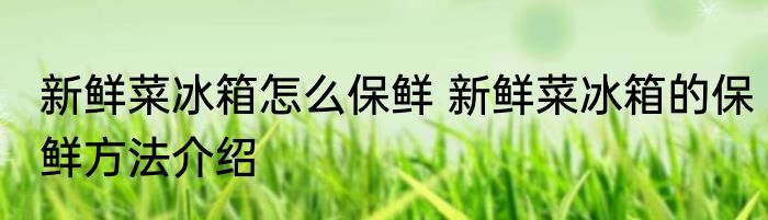 新鲜菜冰箱怎么保鲜 新鲜菜冰箱的保鲜方法介绍