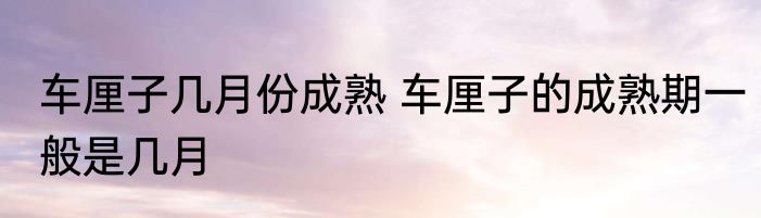 车厘子几月份成熟 车厘子的成熟期一般是几月