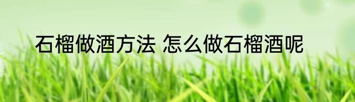 石榴做酒方法 怎么做石榴酒呢