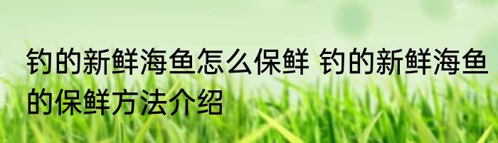 钓的新鲜海鱼怎么保鲜 钓的新鲜海鱼的保鲜方法介绍