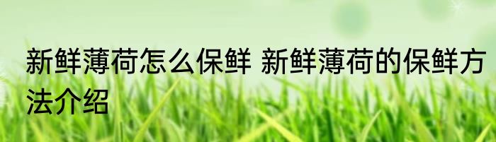 新鲜薄荷怎么保鲜 新鲜薄荷的保鲜方法介绍