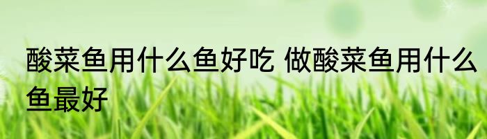 酸菜鱼用什么鱼好吃 做酸菜鱼用什么鱼最好