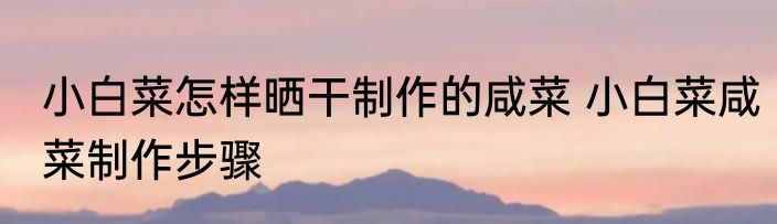 小白菜怎样晒干制作的咸菜 小白菜咸菜制作步骤