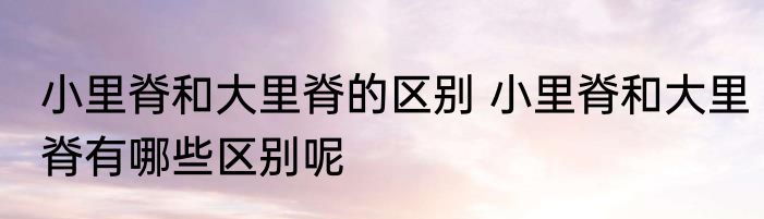 小里脊和大里脊的区别 小里脊和大里脊有哪些区别呢