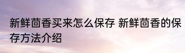 新鲜茴香买来怎么保存 新鲜茴香的保存方法介绍