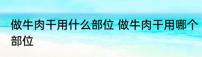做牛肉干用什么部位 做牛肉干用哪个部位