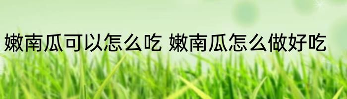 嫩南瓜可以怎么吃 嫩南瓜怎么做好吃