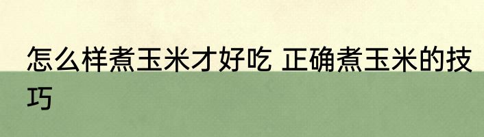 怎么样煮玉米才好吃 正确煮玉米的技巧