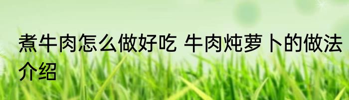 煮牛肉怎么做好吃 牛肉炖萝卜的做法介绍