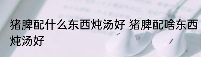 猪脾配什么东西炖汤好 猪脾配啥东西炖汤好