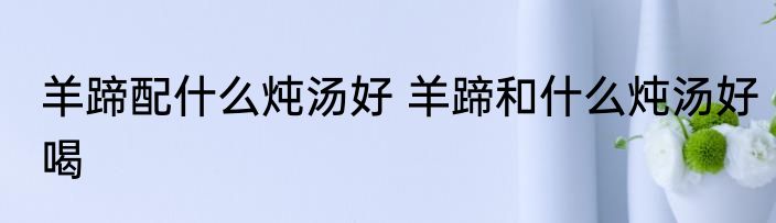羊蹄配什么炖汤好 羊蹄和什么炖汤好喝