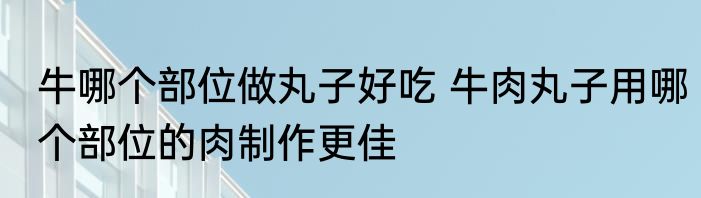 牛哪个部位做丸子好吃 牛肉丸子用哪个部位的肉制作更佳