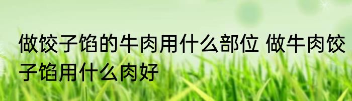 做饺子馅的牛肉用什么部位 做牛肉饺子馅用什么肉好