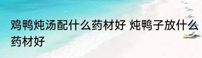 鸡鸭炖汤配什么药材好 炖鸭子放什么药材好