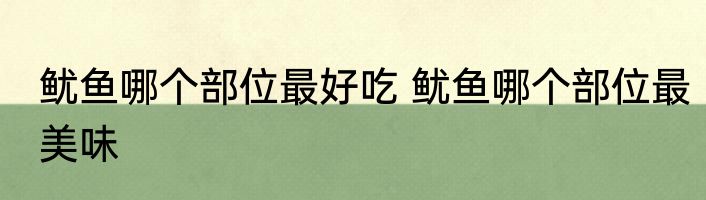 鱿鱼哪个部位最好吃 鱿鱼哪个部位最美味