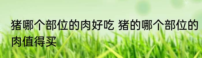 猪哪个部位的肉好吃 猪的哪个部位的肉值得买