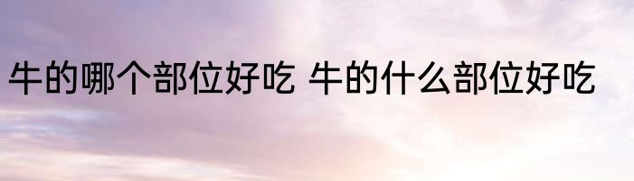 牛的哪个部位好吃 牛的什么部位好吃
