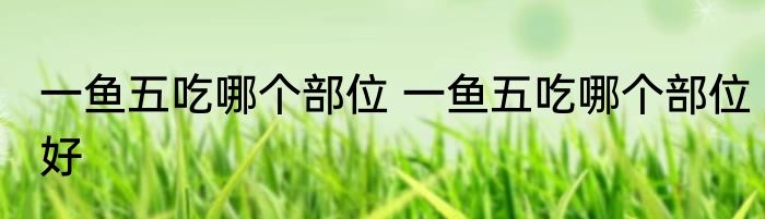 一鱼五吃哪个部位 一鱼五吃哪个部位好