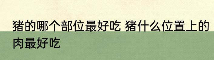 猪的哪个部位最好吃 猪什么位置上的肉最好吃