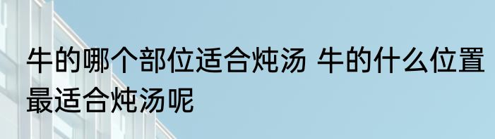牛的哪个部位适合炖汤 牛的什么位置最适合炖汤呢