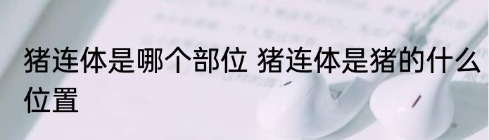 猪连体是哪个部位 猪连体是猪的什么位置