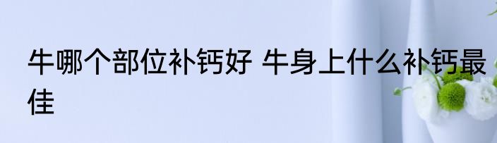 牛哪个部位补钙好 牛身上什么补钙最佳