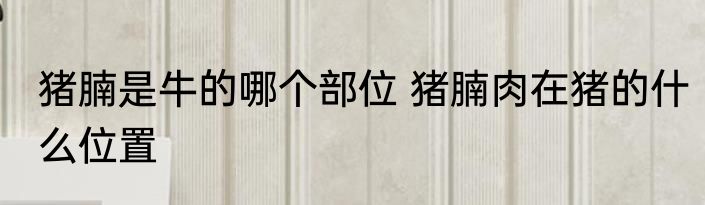 猪腩是牛的哪个部位 猪腩肉在猪的什么位置