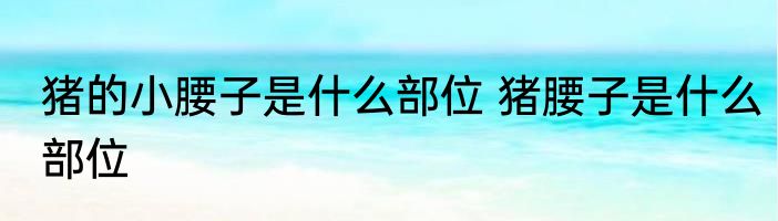 猪的小腰子是什么部位 猪腰子是什么部位