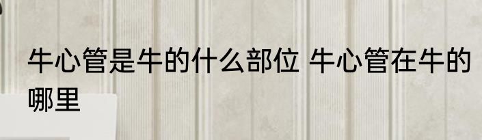 牛心管是牛的什么部位 牛心管在牛的哪里