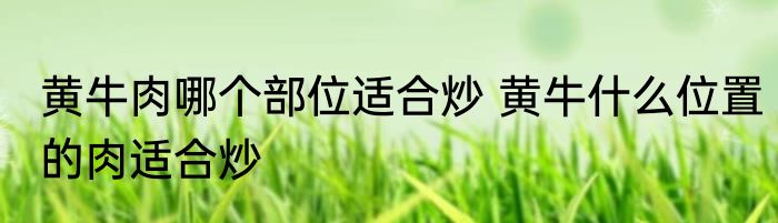 黄牛肉哪个部位适合炒 黄牛什么位置的肉适合炒