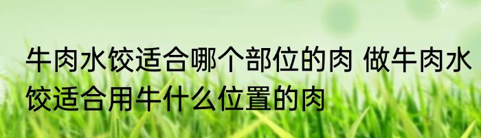 牛肉水饺适合哪个部位的肉 做牛肉水饺适合用牛什么位置的肉