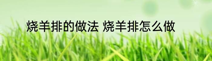 烧羊排的做法 烧羊排怎么做