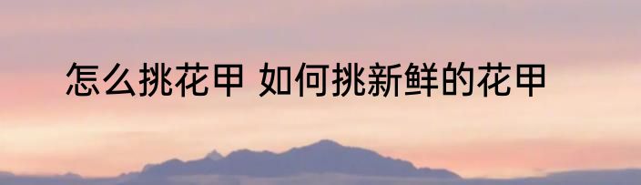 怎么挑花甲 如何挑新鲜的花甲