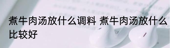 煮牛肉汤放什么调料 煮牛肉汤放什么比较好