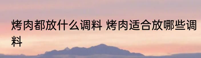烤肉都放什么调料 烤肉适合放哪些调料