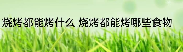 烧烤都能烤什么 烧烤都能烤哪些食物
