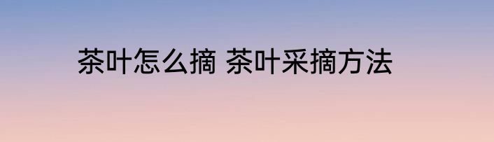 茶叶怎么摘 茶叶采摘方法
