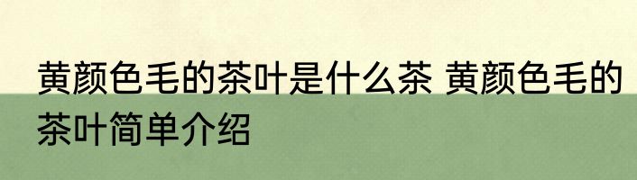 黄颜色毛的茶叶是什么茶 黄颜色毛的茶叶简单介绍
