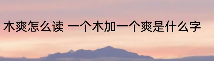 木爽怎么读 一个木加一个爽是什么字