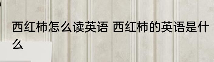西红柿怎么读英语 西红柿的英语是什么