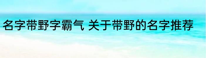 名字带野字霸气 关于带野的名字推荐