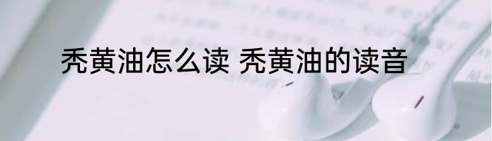 秃黄油怎么读 秃黄油的读音