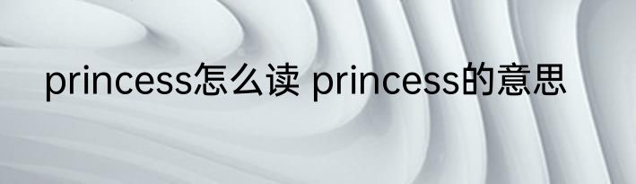 princess怎么读 princess的意思