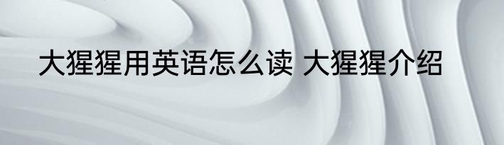 大猩猩用英语怎么读 大猩猩介绍