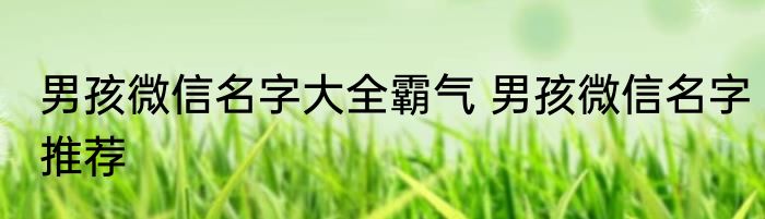 男孩微信名字大全霸气 男孩微信名字推荐