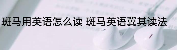 斑马用英语怎么读 斑马英语冀其读法