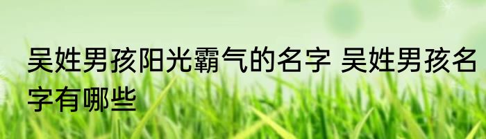 吴姓男孩阳光霸气的名字 吴姓男孩名字有哪些